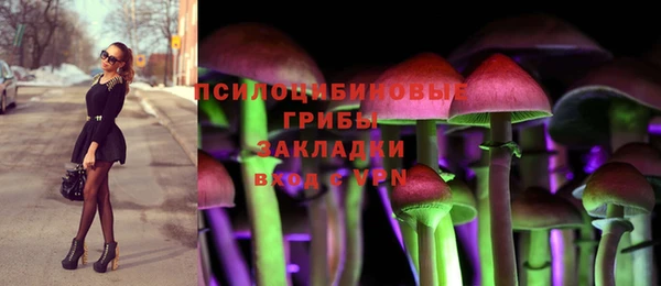 винт Алексин