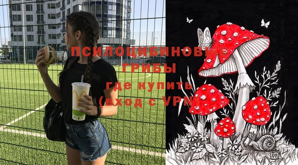МДМА Алексеевка