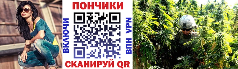 KRAKEN рабочий сайт Курлово Шишки марихуана SATIVA & INDICA что такое наркотик